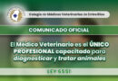 El médico veterinario: único profesional habilitado para diagnosticar y tratar animales