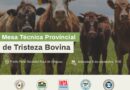 El Colegio de Médicos Veterinarios participará en la conformación de la primera Mesa Técnica Provincial de Tristeza Bovina El Colegio de Médicos Veterinarios participará en la conformación de la primera Mesa Técnica Provincial de Tristeza Bovina