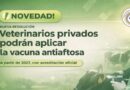 Nueva resolución habilita a veterinarios privados acreditados a aplicar la vacuna antiaftosa desde 2027