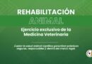El Colegio de Kinesiólogos de Entre Ríos informó sobre el ejercicio profesional en rehabilitación animal
