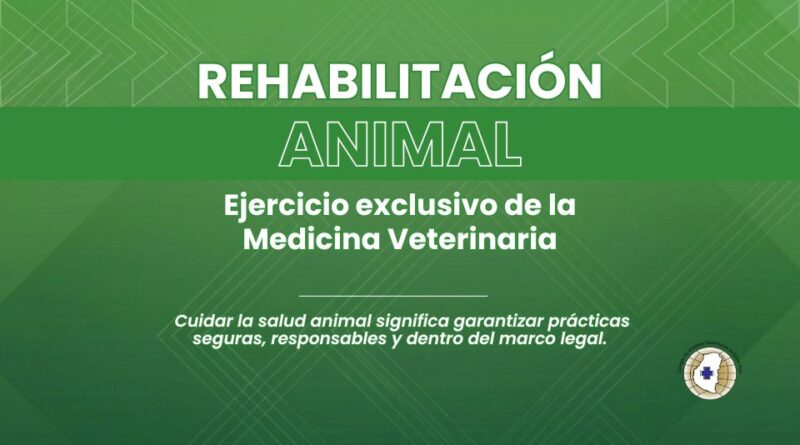 El Colegio de Kinesiólogos de Entre Ríos informó sobre el ejercicio profesional en rehabilitación animal