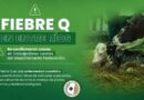 El CMVER destaca la importancia de la vigilancia veterinaria ante la detección de casos de Fiebre Q en Entre Ríos