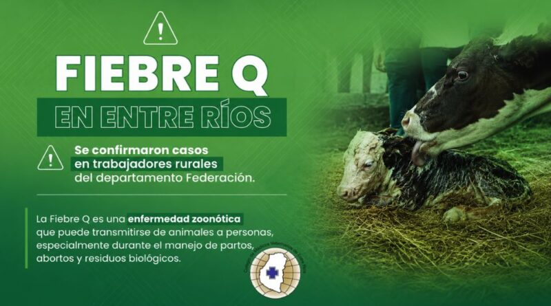 El CMVER destaca la importancia de la vigilancia veterinaria ante la detección de casos de Fiebre Q en Entre Ríos