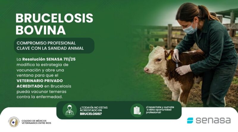 Brucelosis bovina: un nuevo escenario sanitario requiere el compromiso de los médicos veterinarios acreditados
