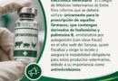 Receta Electrónica Veterinaria: asegura trazabilidad y responsabilidad profesional