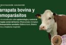 Curso de actualización: control de garrapata bovina y hemoparásitos asociados