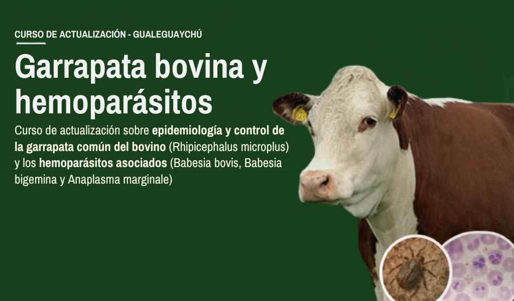 Curso de actualización: control de garrapata bovina y hemoparásitos asociados
