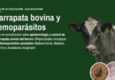 Curso de actualización: control de garrapata bovina y hemoparásitos asociados