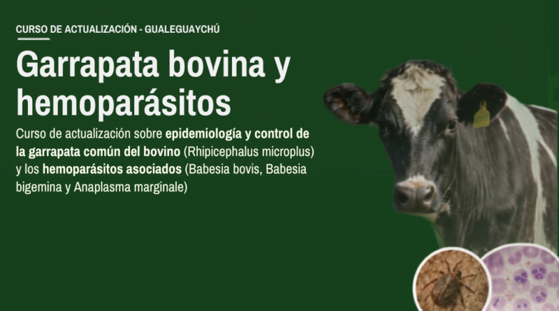 Curso de actualización: control de garrapata bovina y hemoparásitos asociados