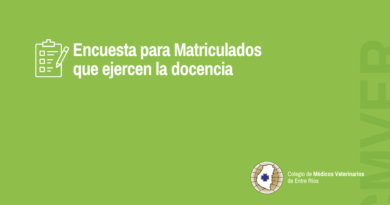CMVER lanza una encuesta para matriculados que ejercen la docencia