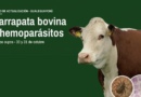 Sigue abierta la inscripción al curso de garrapata bovina y hemoparásitos en Gualeguaychú