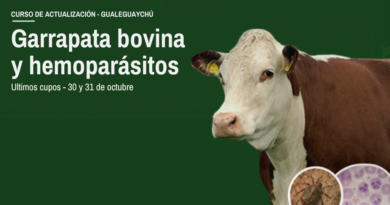 Sigue abierta la inscripción al curso de garrapata bovina y hemoparásitos en Gualeguaychú