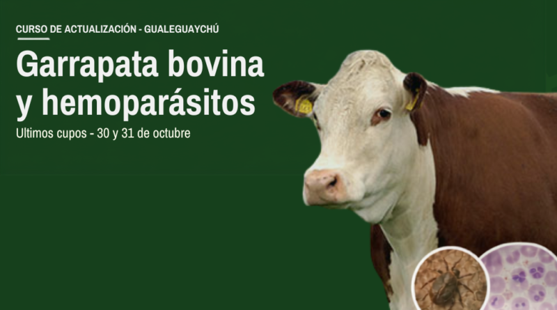 Sigue abierta la inscripción al curso de garrapata bovina y hemoparásitos en Gualeguaychú